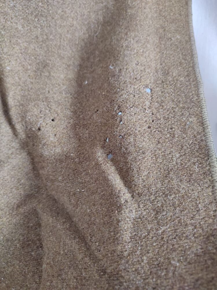 U.S. M-1910 Haversack with Entrenching Tool Cover and Blanket - Image 10