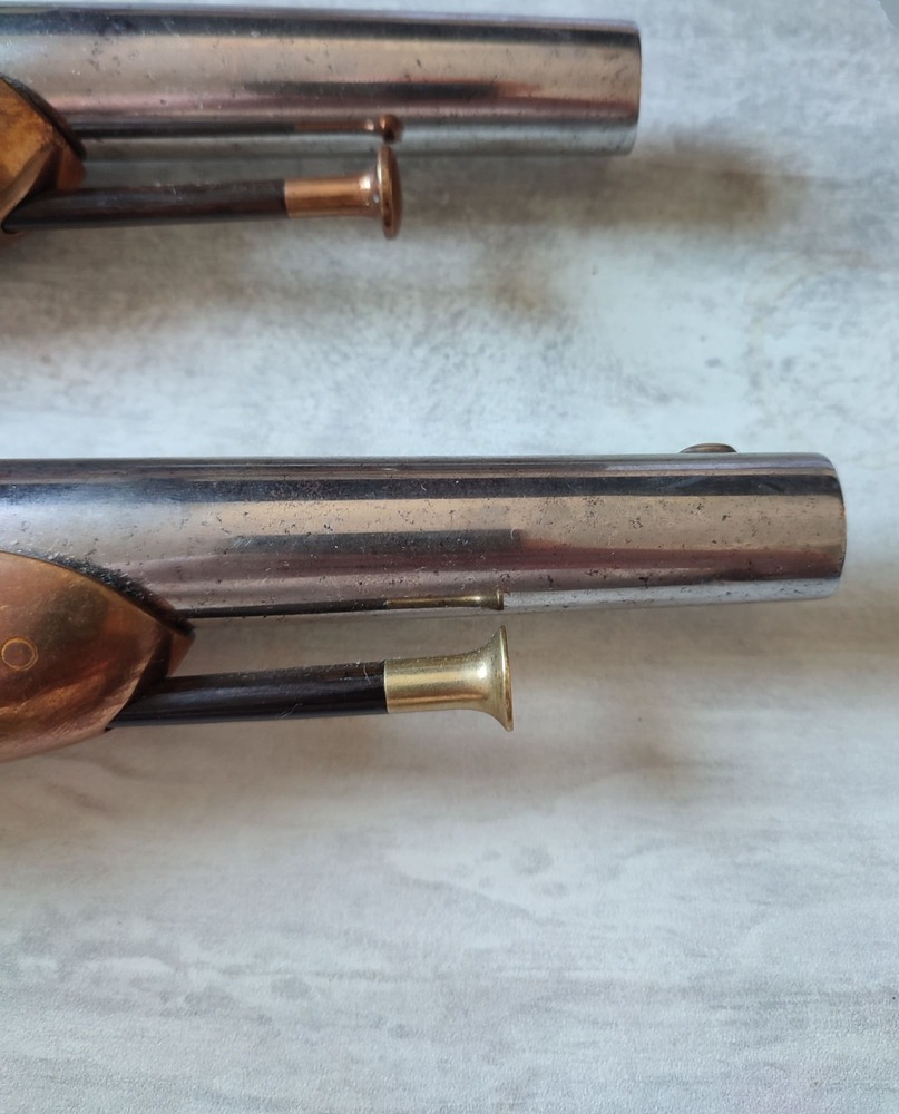 Pareja de Pistolas Francesas de Oficial de Caballería, Modelo 1816/22 - Imagen 9