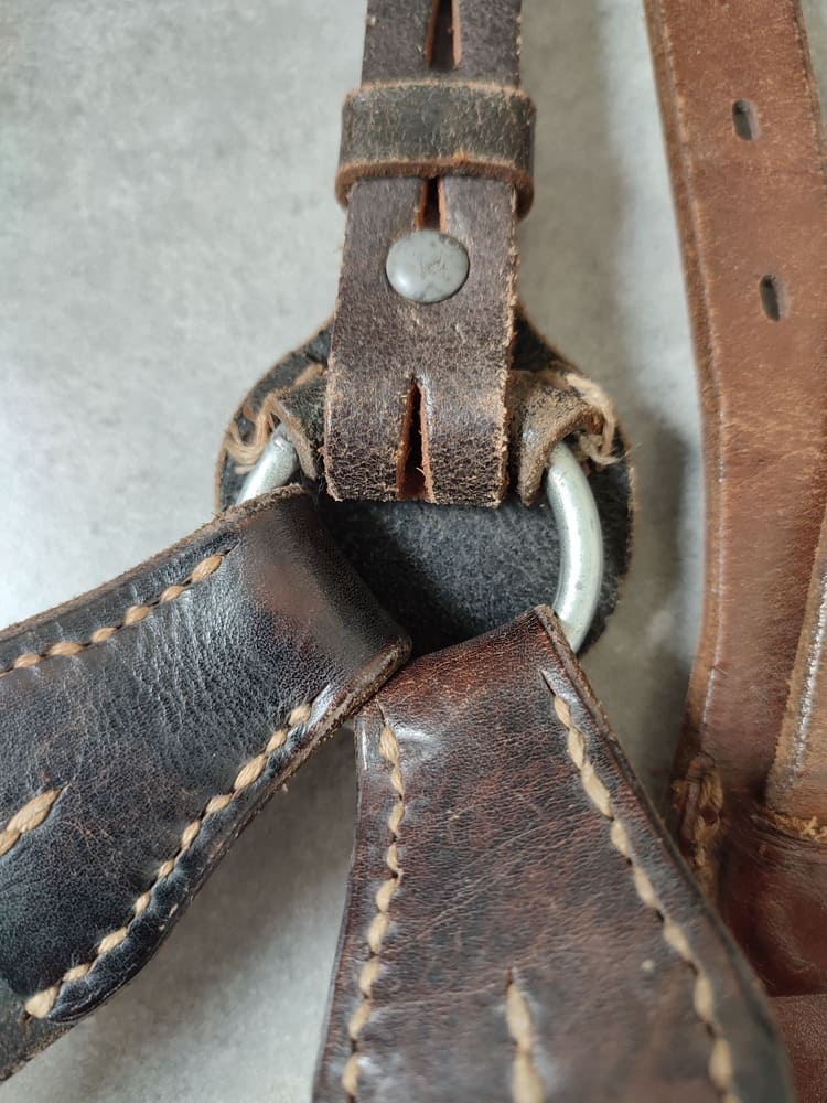 German WWII Heavy Y-Straps - Image 8