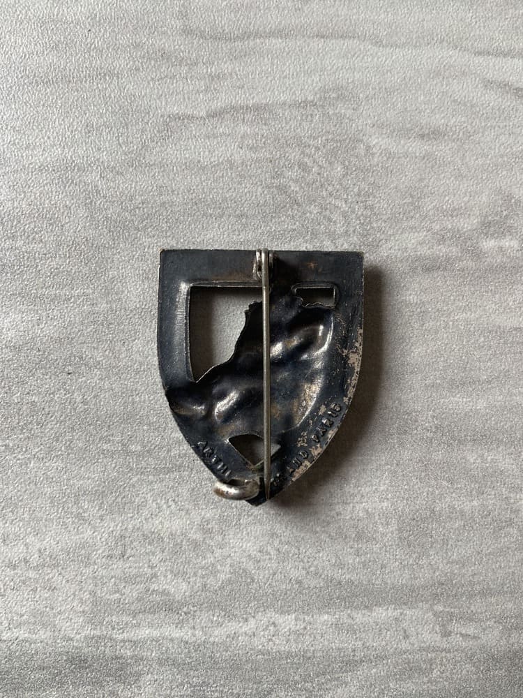 Insignia of the 30th Dragoon Regiment, Algerian War period - Image 2